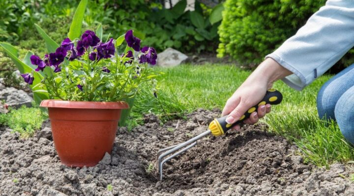 Tuingrond-kopen-1024x683-min